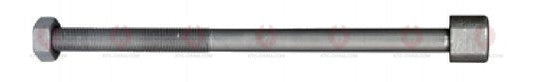 AT4625 C-Bolt C-BOLT  OUTSIDE THREAD: M16X1.5  LENGTH UNDER HEAD: 10"=254  THREAD LENGTH: 190  HEAD HEIGHT: 18  HEAD DIAMETER: 24  A F DIMENSION: 24  NUT HEIGHT: 15
