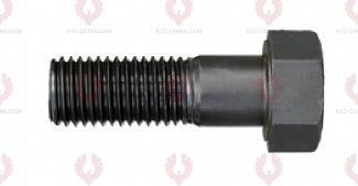 AT5073 Segment Bolt SEGMENT BOLTS OUTSIDE THREAD: M24X3.0  LENGTH UNDER HEAD: 55  THREAD LENGTH: 40  KNURLING DIAMETER: 24  HEAD HEIGHT: 16  HEAD DIAMETER: 36  A F DIMENSION: EMPTY  NUT HEIGHT: EMPTY