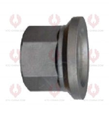 AT5553 Bolt ROR  OUTSIDE THREAD: M22X1.5  LENGTH UNDER HEAD: 80  THREAD LENGTH: 45  KNURLING DIAMETER: 24  HEAD HEIGHT: 10  HEAD DIAMETER: 36  A F DIMENSION: 32  NUT HEIGHT: 32 212 20 132