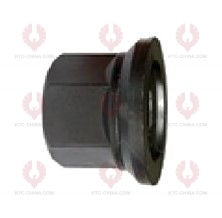 AT5593 Bolt RENAULT  OUTSIDE THREAD: M18X1.5  LENGTH UNDER HEAD: 72  THREAD LENGTH: 31  KNURLING DIAMETER: 18.2  HEAD HEIGHT: 10  HEAD DIAMETER: 28  A F DIMENSION: 27  NUT HEIGHT: 25 50 00 547 960