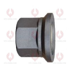 AT5619 Bolt VOLVO RENAULT  OUTSIDE THREAD: M22X1.5  LENGTH UNDER HEAD: 97  THREAD LENGTH: 68  KNURLING DIAMETER: 25.5  HEAD HEIGHT: 10.5  HEAD DIAMETER: 36  A F DIMENSION: 33  NUT HEIGHT: 32 20515517