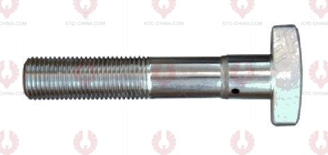 AT5745 Bolt TRILEX  OUTSIDE THREAD: M20X2.0  LENGTH UNDER HEAD: 100  THREAD LENGTH: 52  KNURLING DIAMETER: 20  HEAD HEIGHT: 12.5  HEAD DIAMETER: 45  A F DIMENSION: EMPTY  NUT HEIGHT: EMPTY 659 112 611